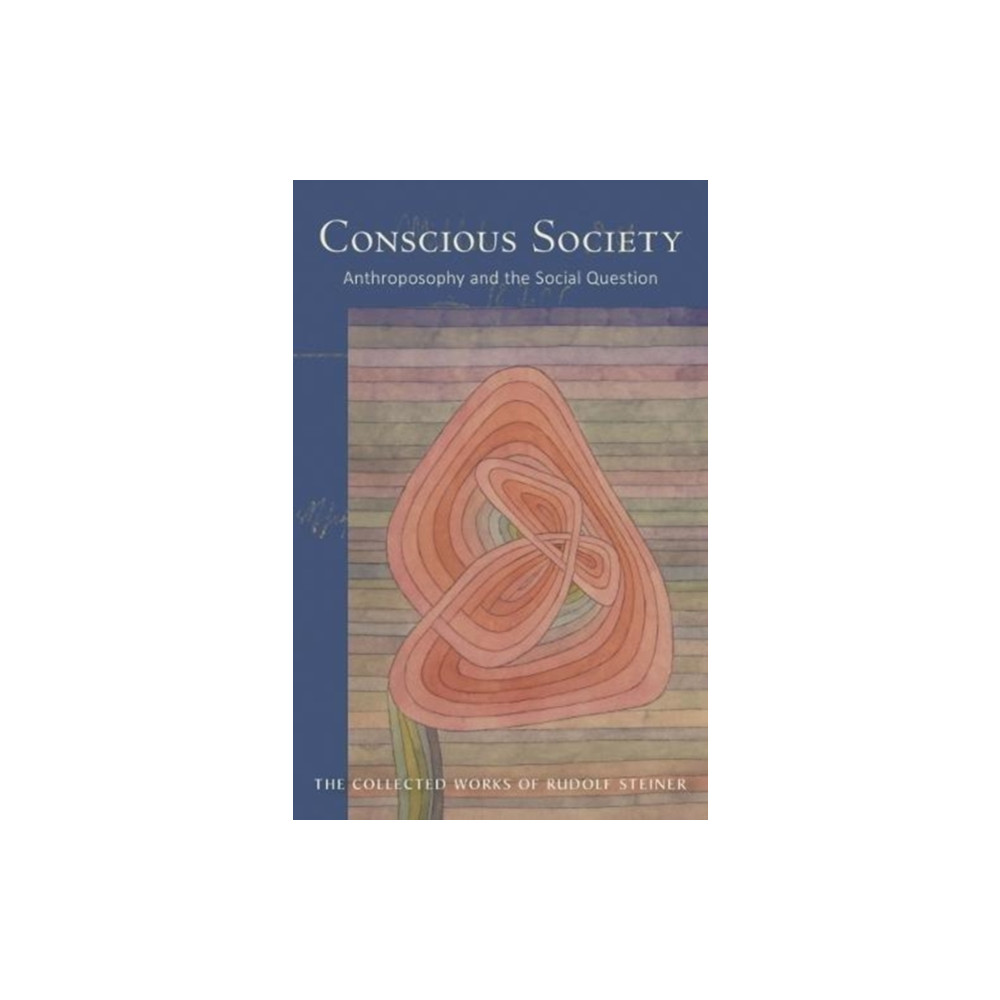 Produktbild för Conscious Society (häftad, eng)