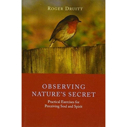 Rudolf Steiner Press Observing Nature's Secret (häftad, eng)