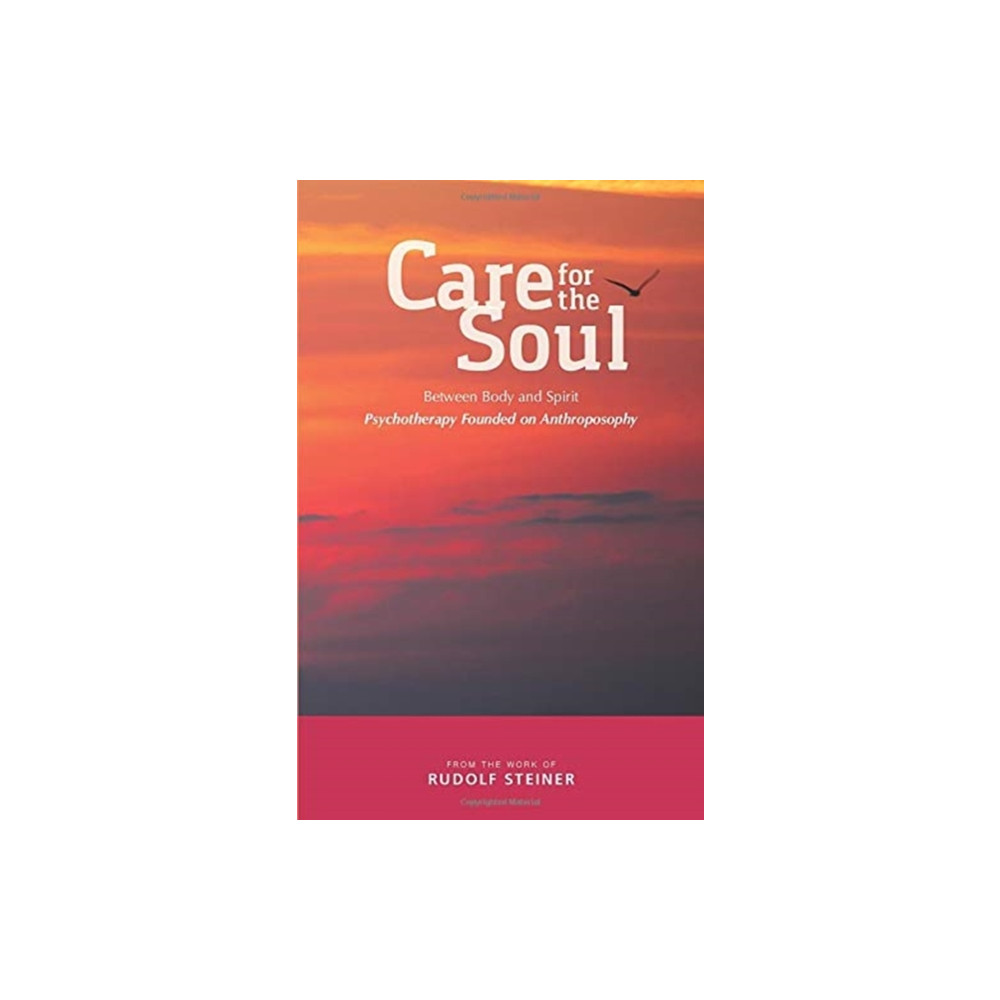 Produktbild för Care for the Soul (häftad, eng)