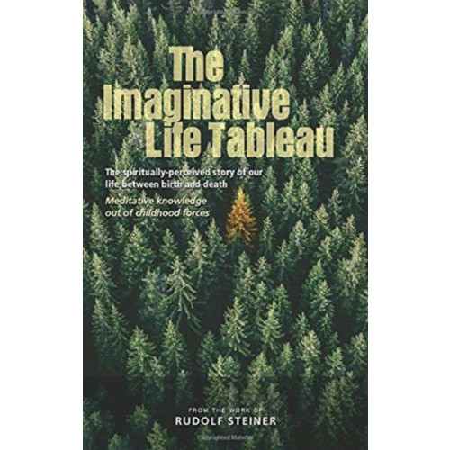 Rudolf Steiner Press The Imaginative Life Tableau (häftad, eng)