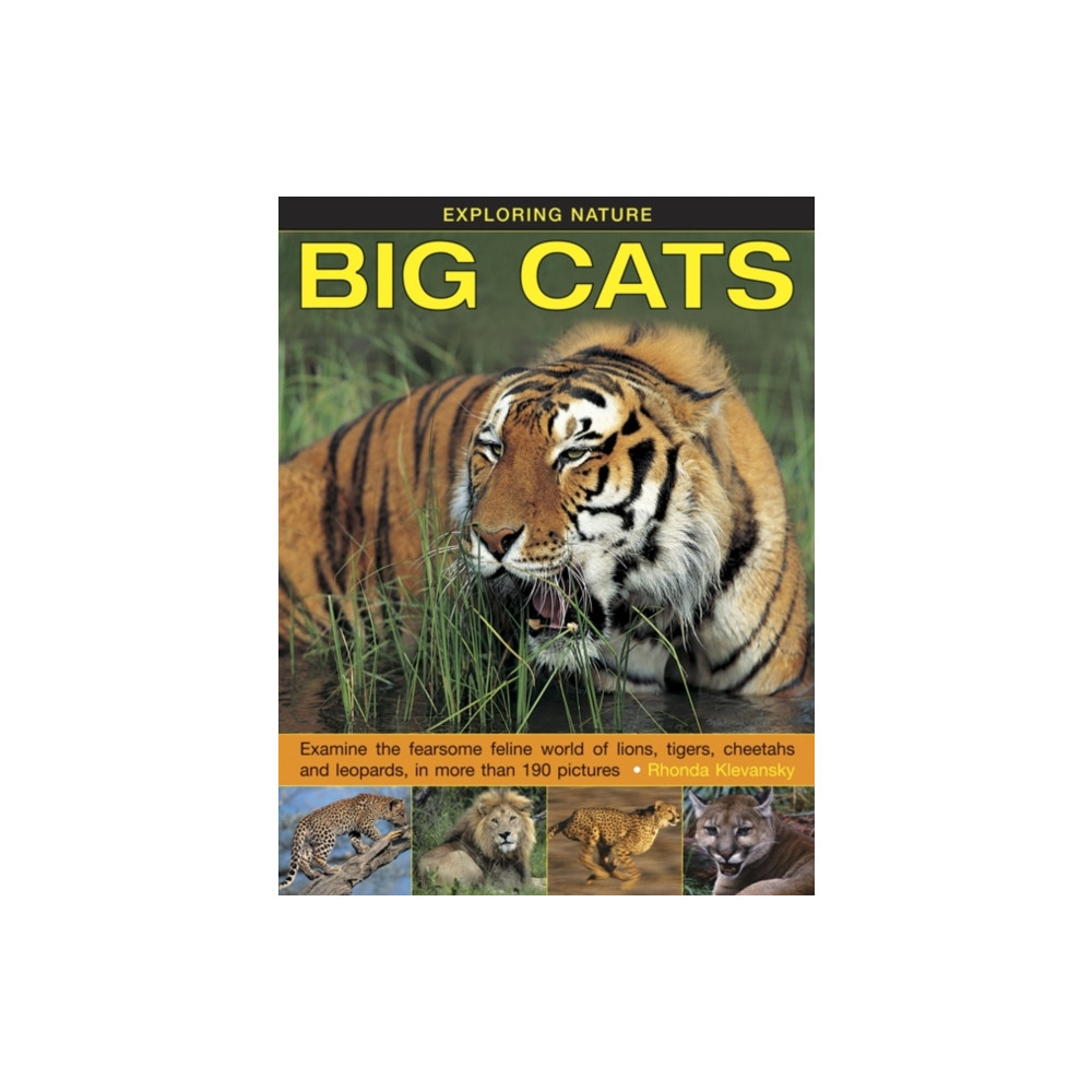 Produktbild för Exploring Nature: Big Cats (inbunden, eng)