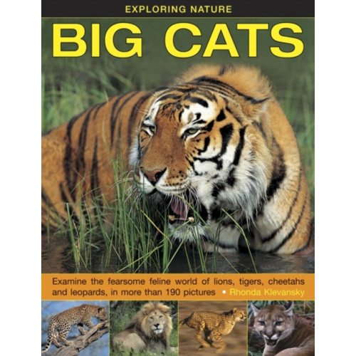 Anness publishing Exploring Nature: Big Cats (inbunden, eng)