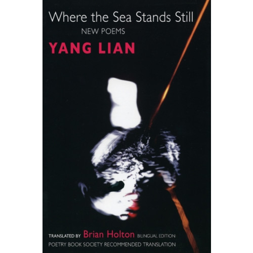 Bloodaxe Books Ltd Where the Sea Stands Still (häftad, chi)