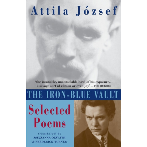 Bloodaxe Books Ltd The Iron-Blue Vault (häftad, eng)