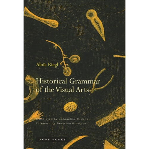 Zone Books Historical Grammar of the Visual Arts (häftad, eng)