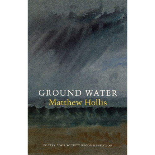 Bloodaxe Books Ltd Ground Water (häftad, eng)