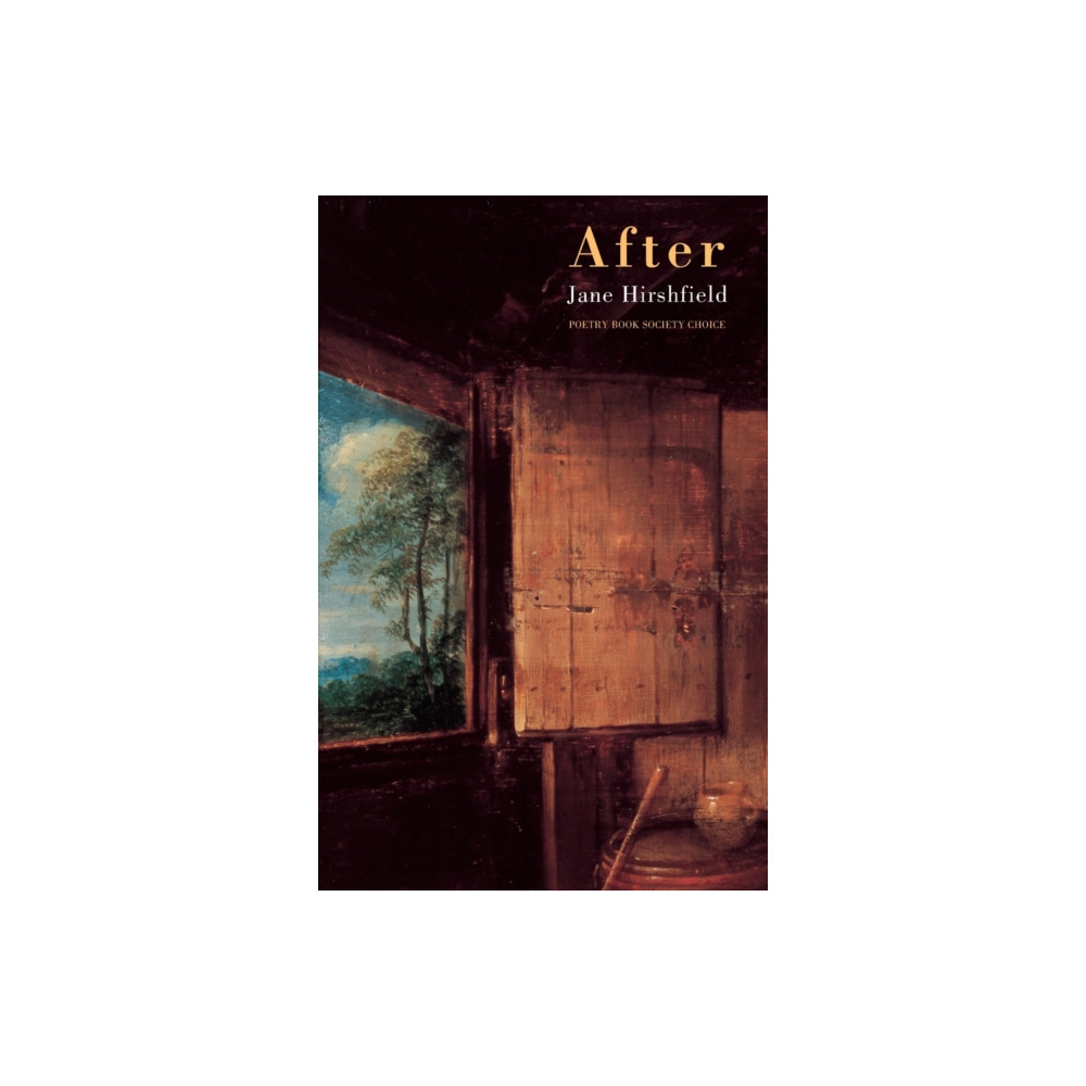 Produktbild för After (häftad, eng)