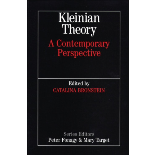 John Wiley & Sons Inc Kleinian Theory (häftad, eng)