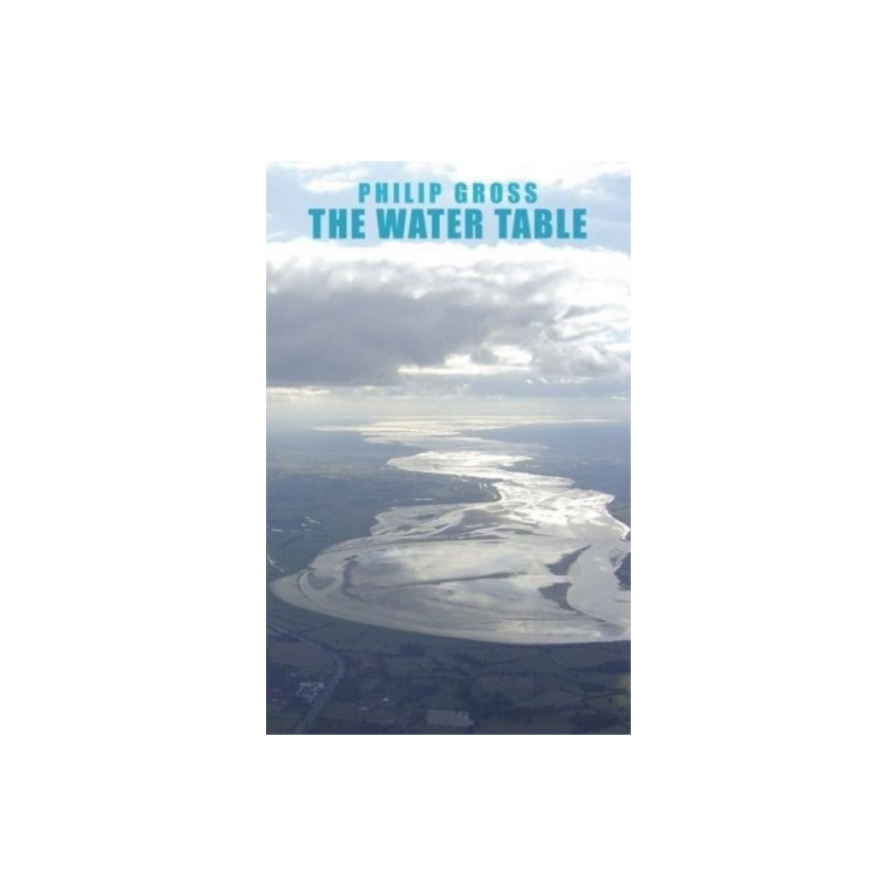 Produktbild för The Water Table (häftad, eng)