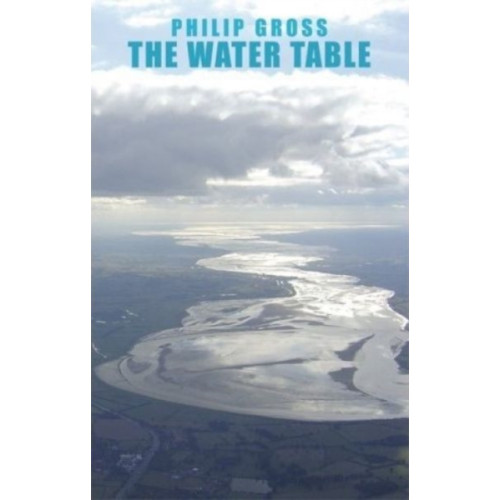 Bloodaxe Books Ltd The Water Table (häftad, eng)