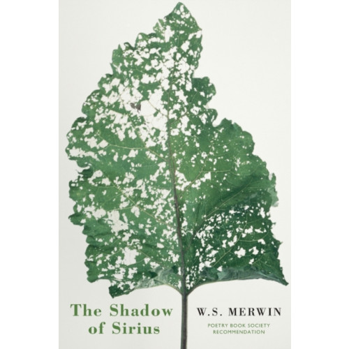 Bloodaxe Books Ltd The Shadow of Sirius (häftad, eng)