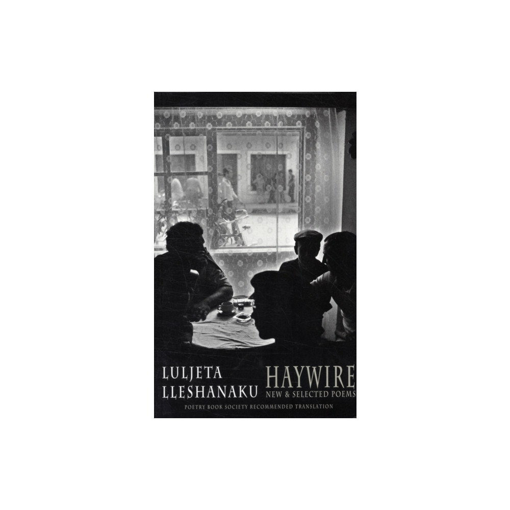Produktbild för Haywire (häftad, eng)