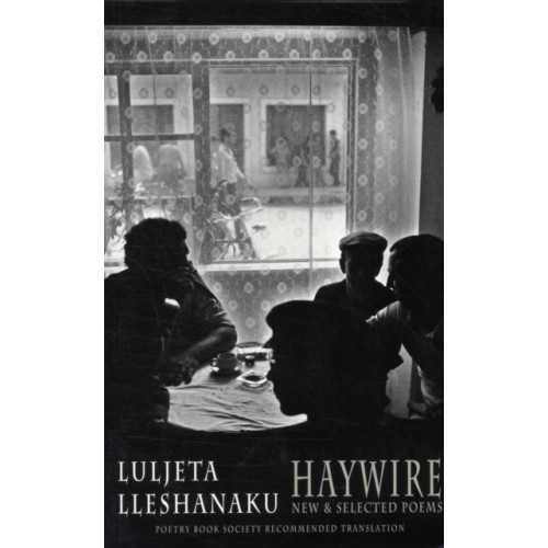 Bloodaxe Books Ltd Haywire (häftad, eng)