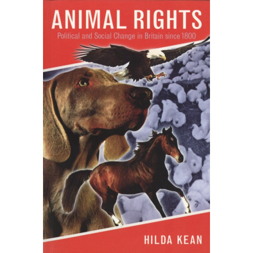 Reaktion Books Animal Rights (häftad, eng)