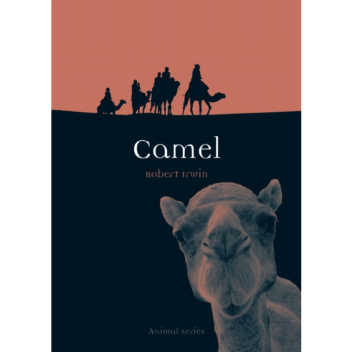 Reaktion Books Camel (häftad, eng)