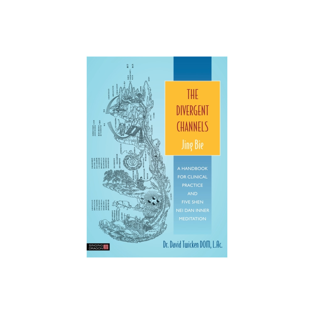 Produktbild för The Divergent Channels - Jing Bie (häftad, eng)