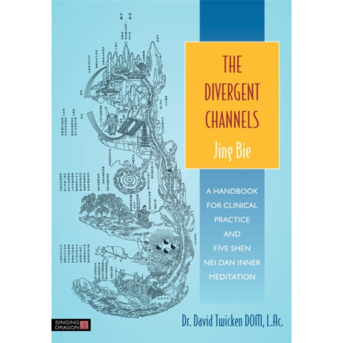 Jessica kingsley publishers The Divergent Channels - Jing Bie (häftad, eng)