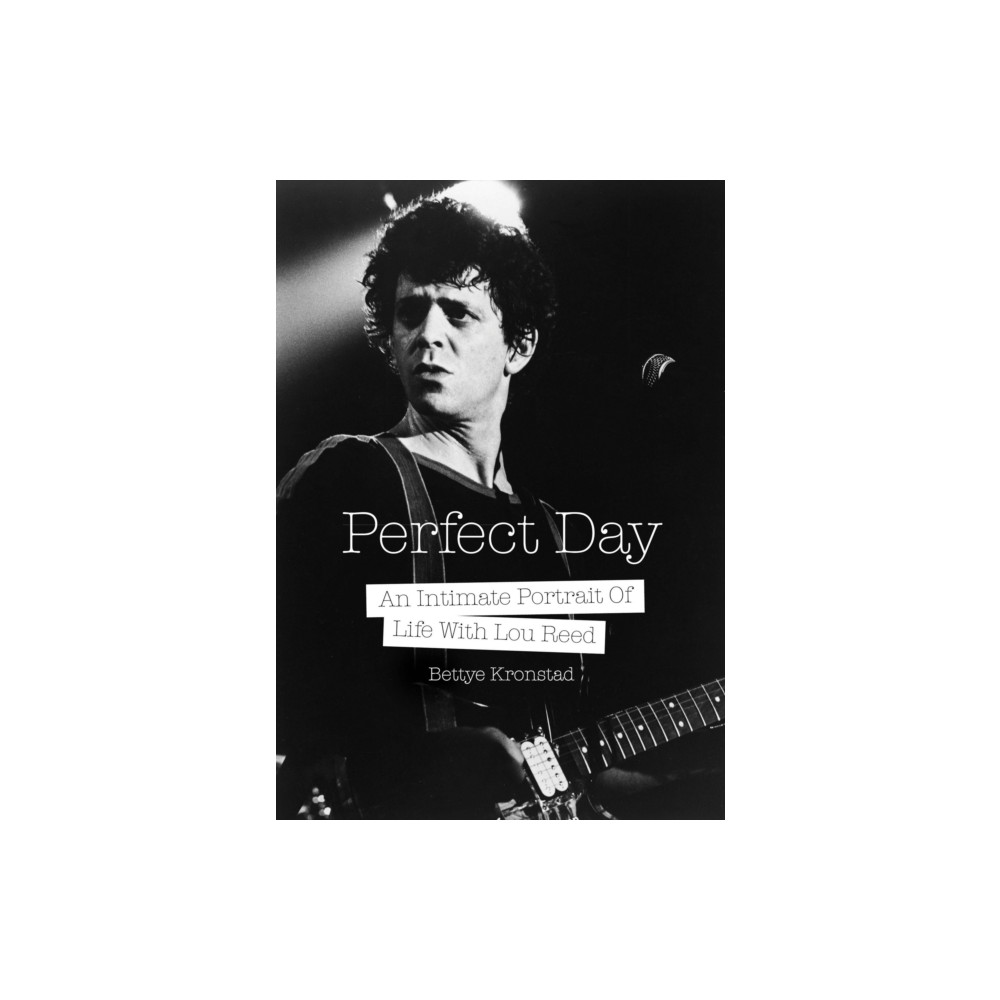 Produktbild för Perfect Day (häftad, eng)