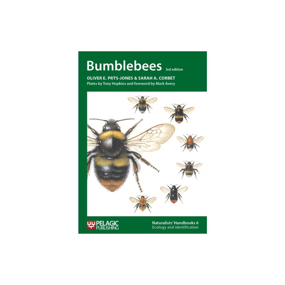 Produktbild för Bumblebees (häftad, eng)