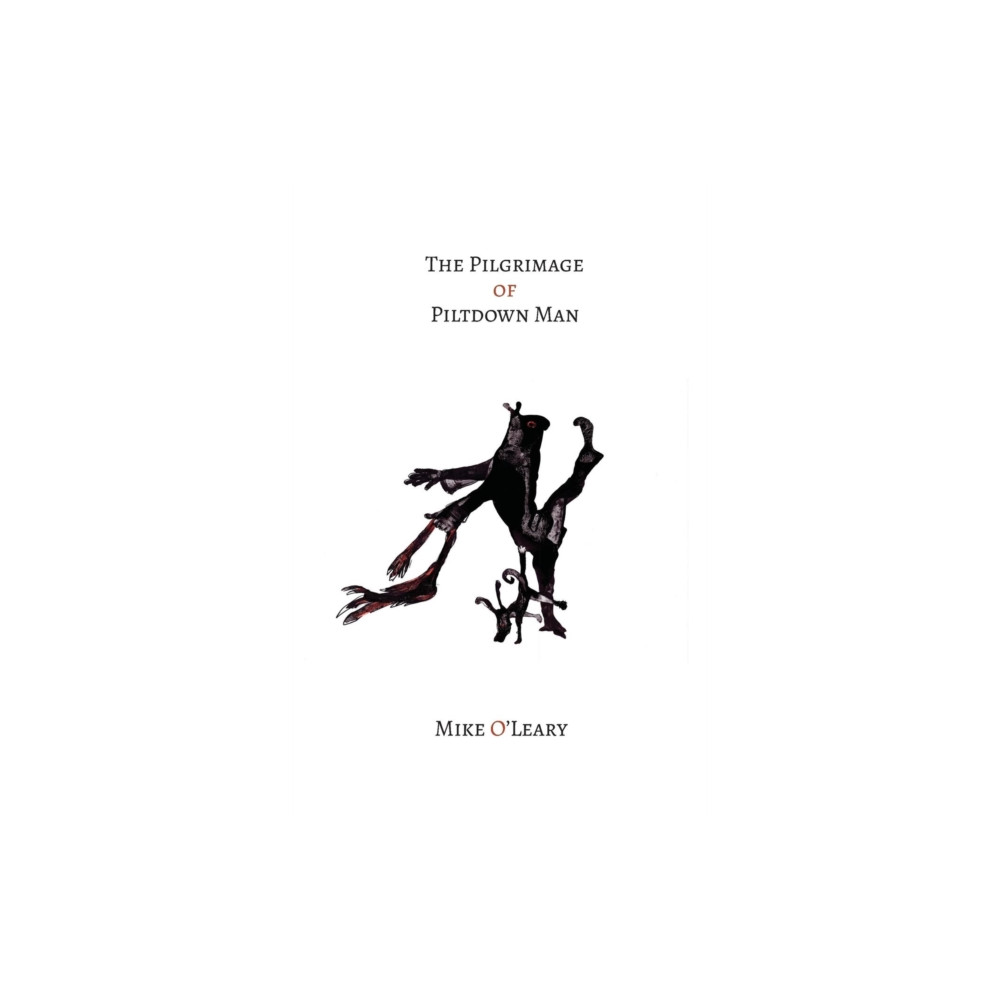 Produktbild för The Pilgrimage of Piltdown Man (häftad, eng)