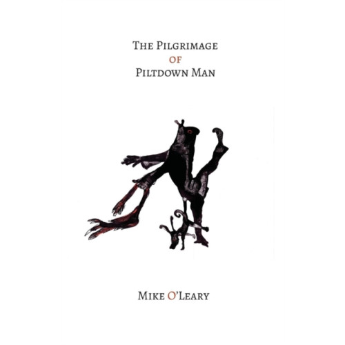 Triarchy Press The Pilgrimage of Piltdown Man (häftad, eng)