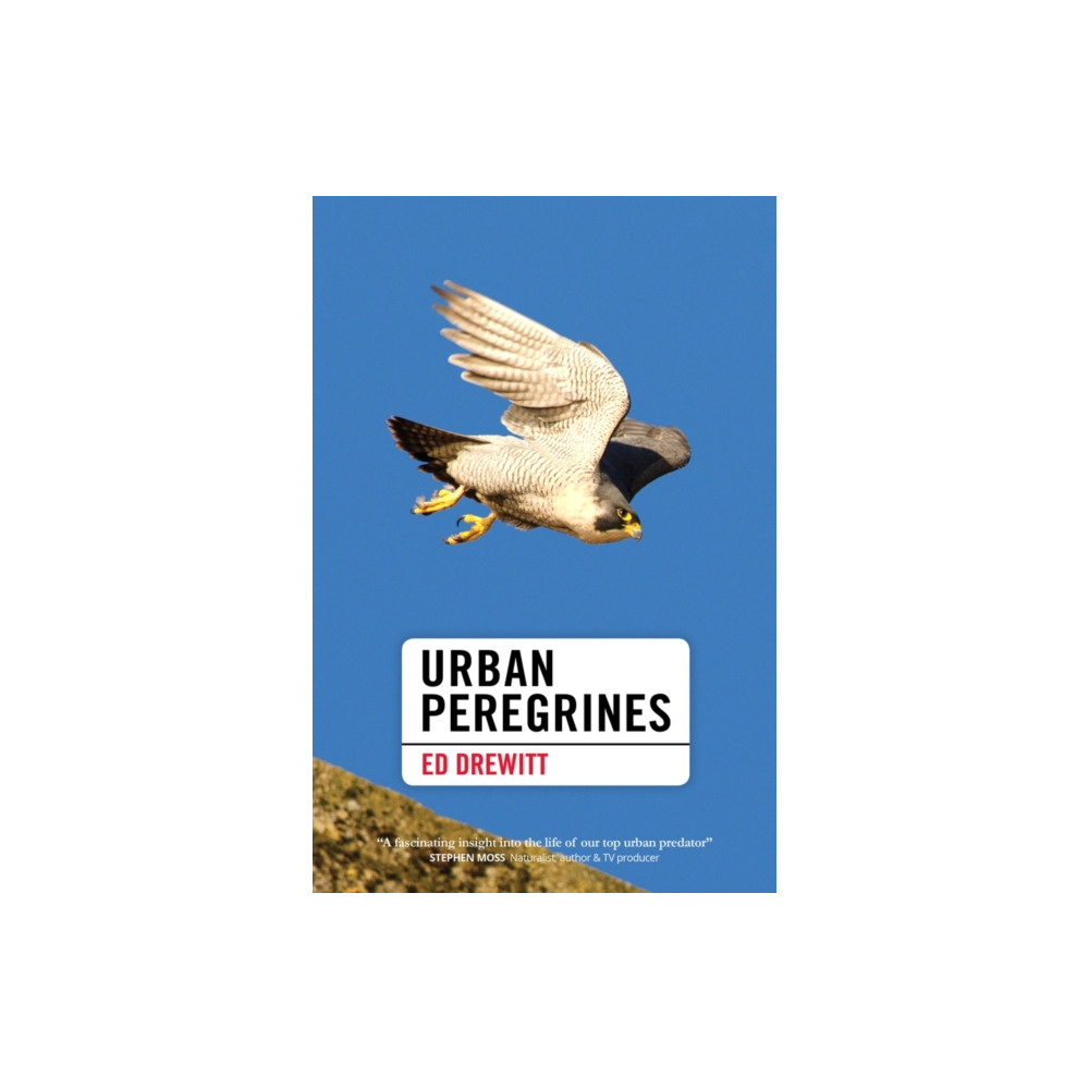 Produktbild för Urban Peregrines (inbunden, eng)
