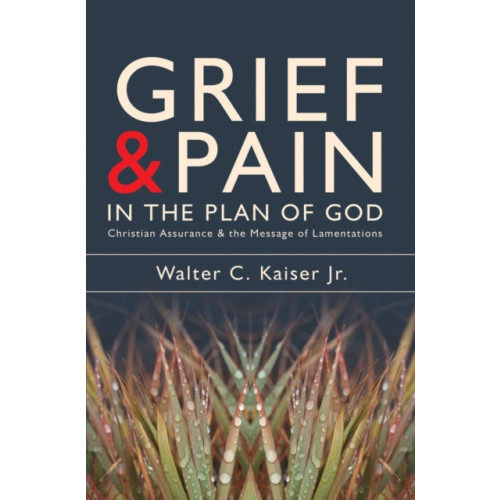 Christian Focus Publications Ltd Grief and Pain in the Plan of God (häftad, eng)