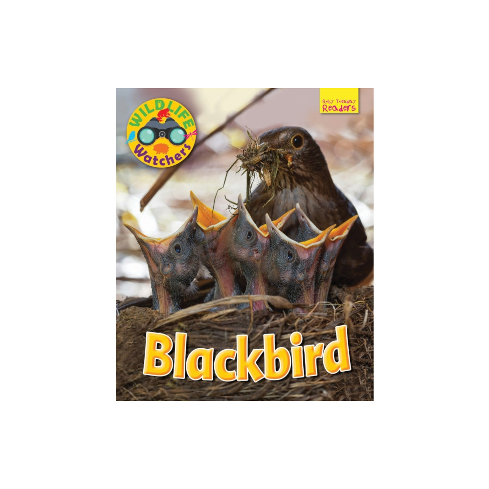 Produktbild för Wildlife Watchers: Blackbird (häftad, eng)