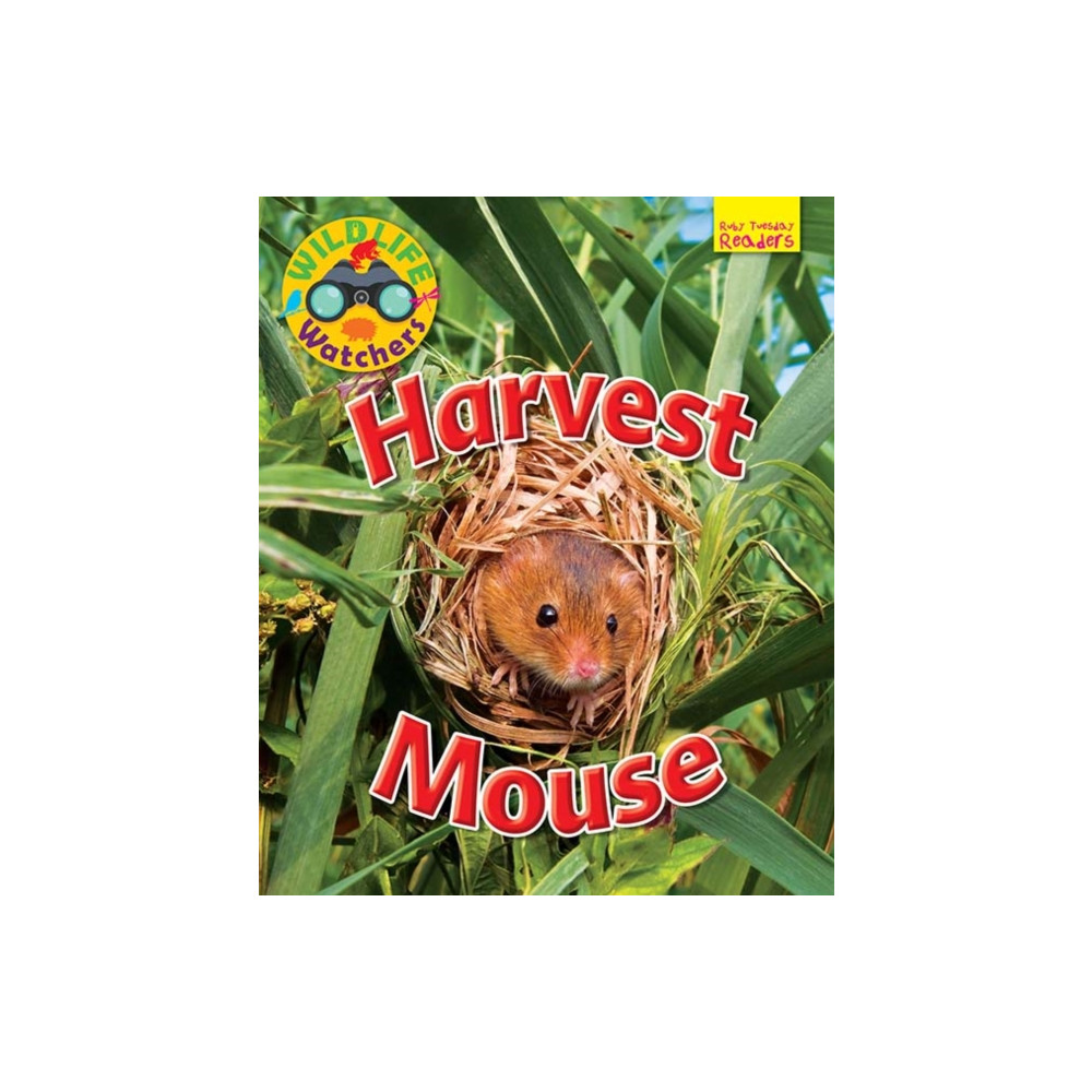 Produktbild för Wildlife Watchers: Harvest Mouse (häftad, eng)