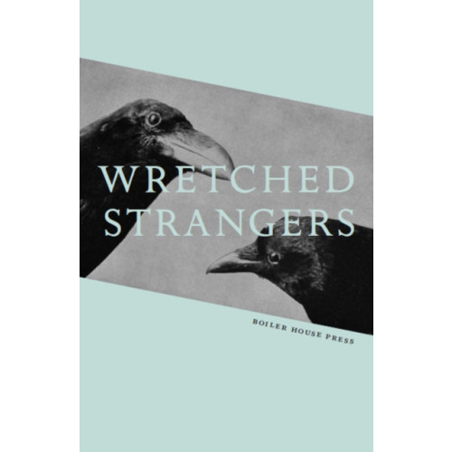 UEA Publishing Project Wretched Strangers (häftad, eng)