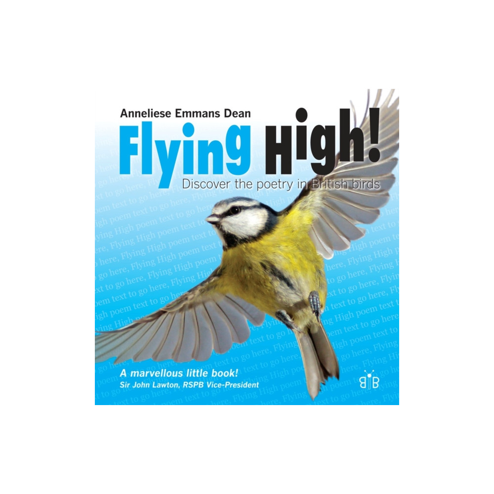 Produktbild för Flying High (häftad, eng)