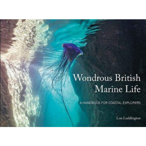 Pesda Press Wondrous British Marine Life (häftad, eng)