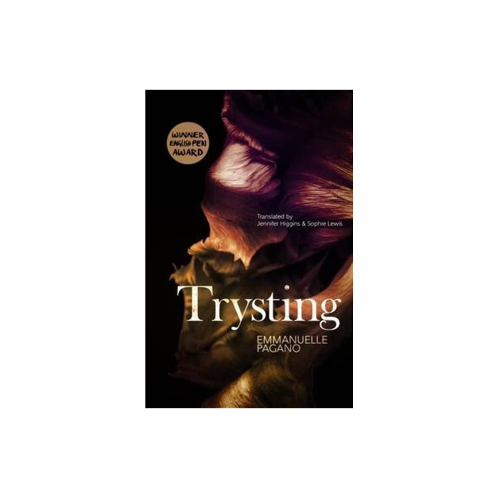 Produktbild för Trysting (häftad, eng)