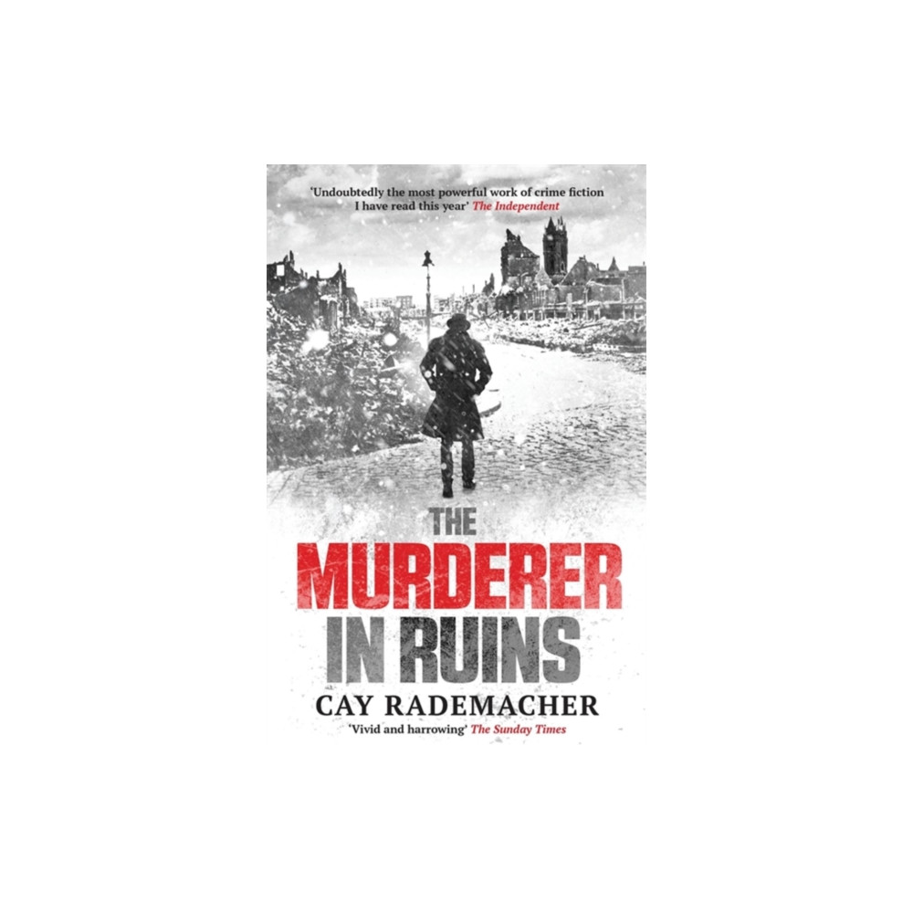 Produktbild för The Murderer in Ruins (häftad, eng)