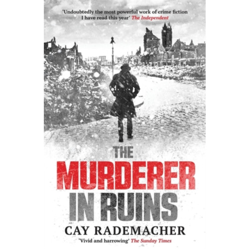 Quercus Publishing The Murderer in Ruins (häftad, eng)