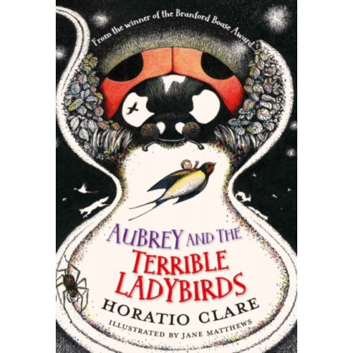 Firefly Press Ltd Aubrey and the Terrible Ladybirds (häftad, eng)