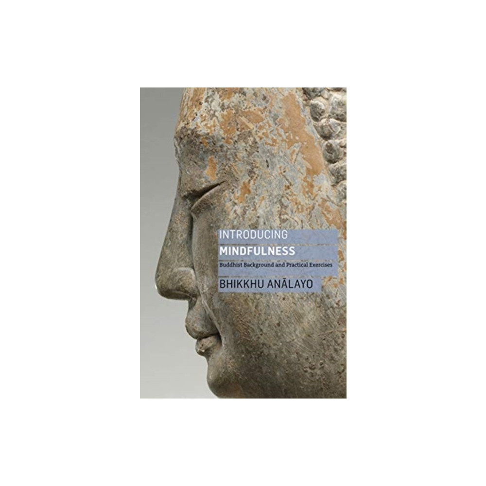 Produktbild för Introducing Mindfulness (häftad, eng)