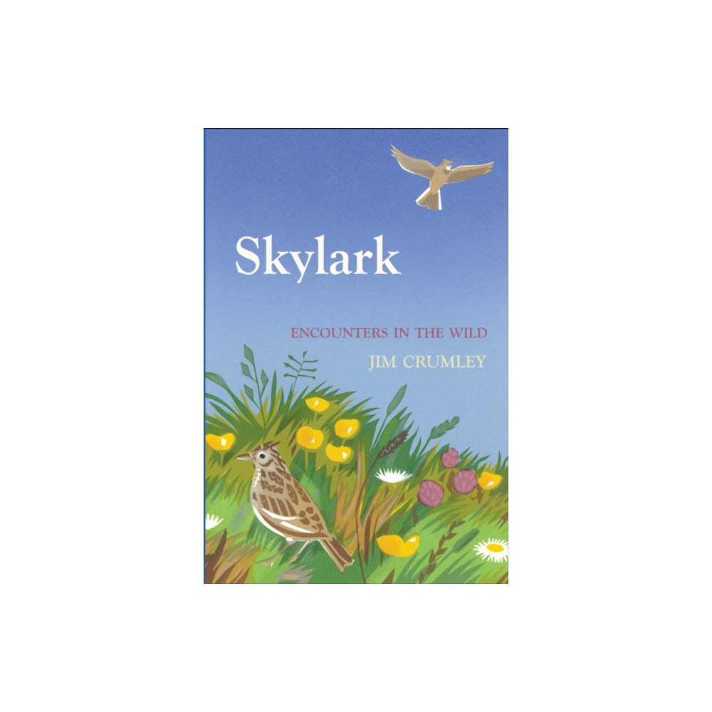 Produktbild för Skylark (inbunden, eng)