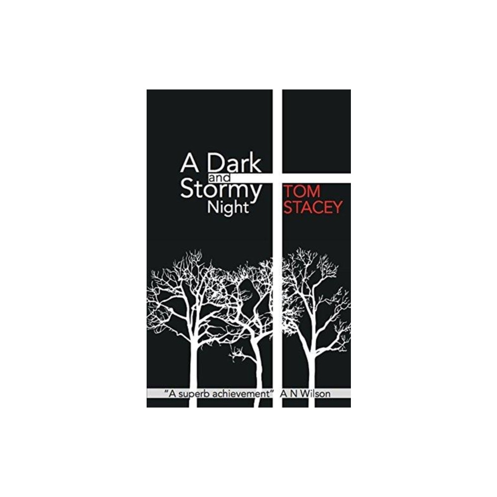 Produktbild för A Dark and Stormy Night (häftad, eng)