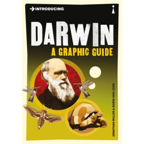 Icon Books Introducing Darwin (häftad, eng)