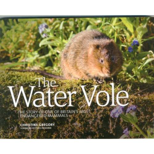 Vertebrate Publishing Ltd The Water Vole (häftad, eng)