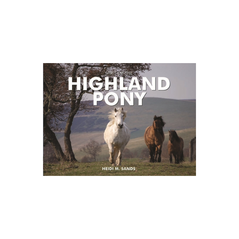 Produktbild för Spirit of the Highland Pony (inbunden, eng)
