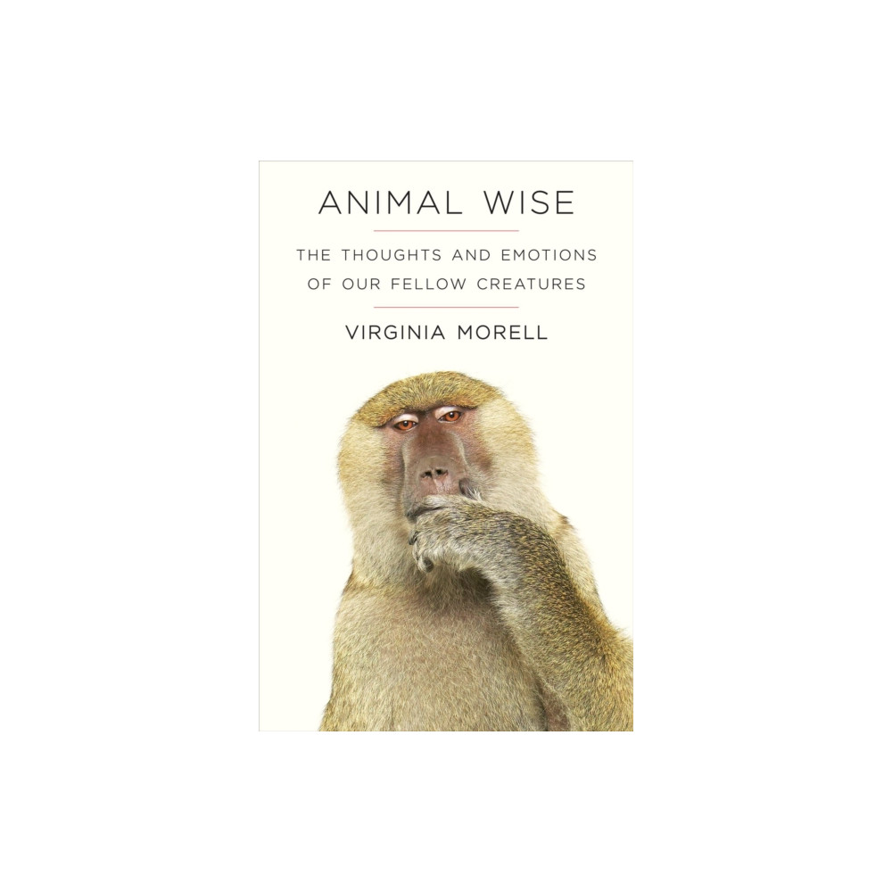 Produktbild för Animal Wise (häftad, eng)