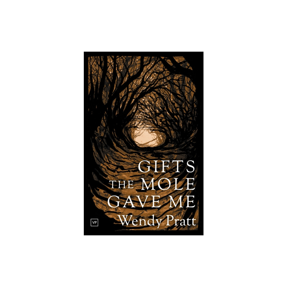 Produktbild för Gifts the Mole Gave Me (häftad, eng)