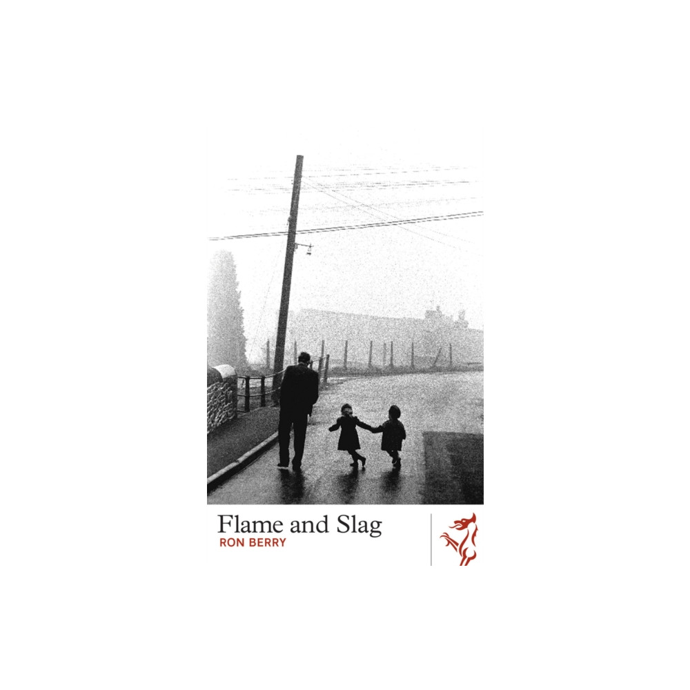 Produktbild för Library of Wales: Flame and Slag (häftad, eng)