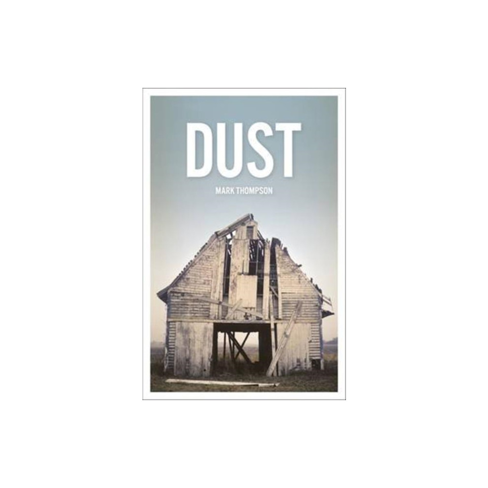 Produktbild för Dust (häftad, eng)