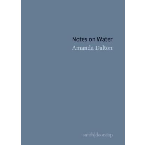 Smith|Doorstop Books Notes on Water (häftad, eng)