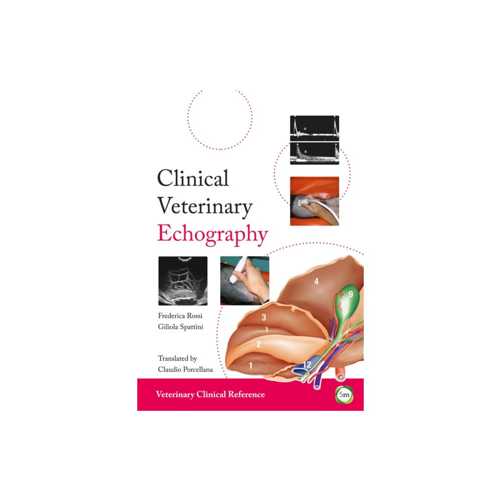 Produktbild för Clinical Veterinary Echography (inbunden, eng)