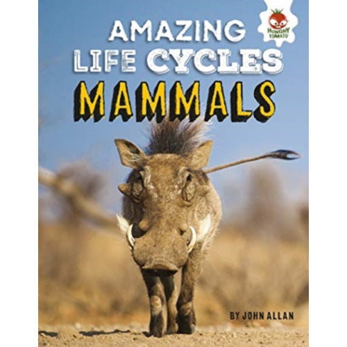 Hungry Tomato Ltd Amazing Life Cycles- Mammals (häftad, eng)