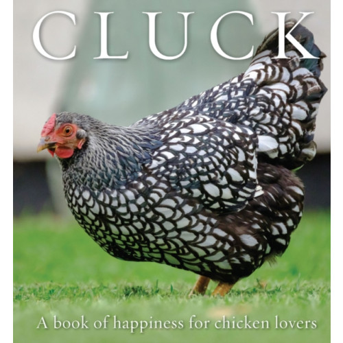 Exisle Publishing Cluck (häftad, eng)